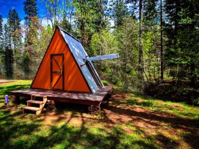A Frame House next to massive trees