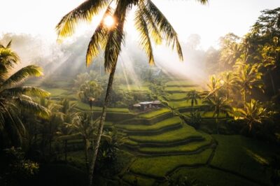 Bali