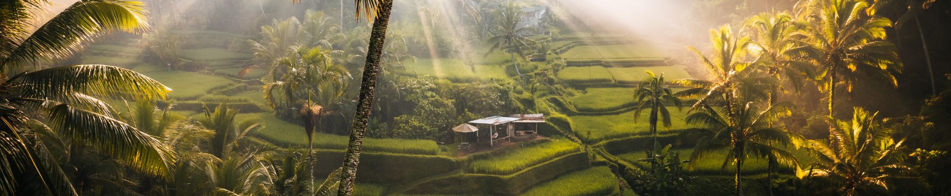 Glamping spots in Bali