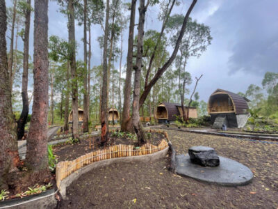 Bamboo Austin Mountbatur