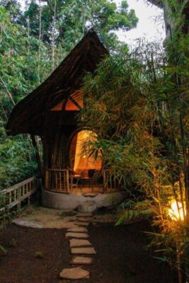 Bamboohouse Pondok Salacca #salacca inn