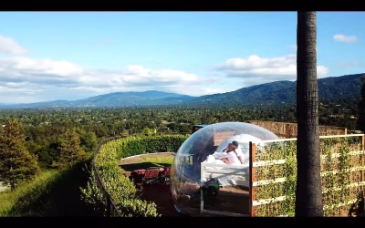 Bubble Escape In Hidden Wineries of Silicon Valley