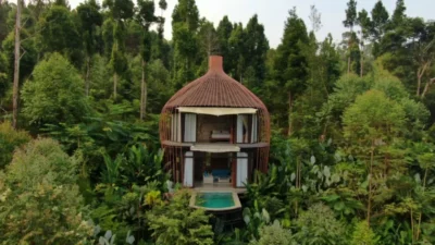 Bubu Jungle Resort