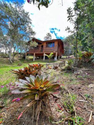Cabaña Disfruto AL Bosque Santa Elena