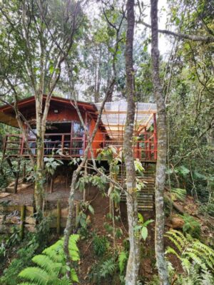 Cabaña en Medio del Bosque con Jacuzzi – Santa Elena