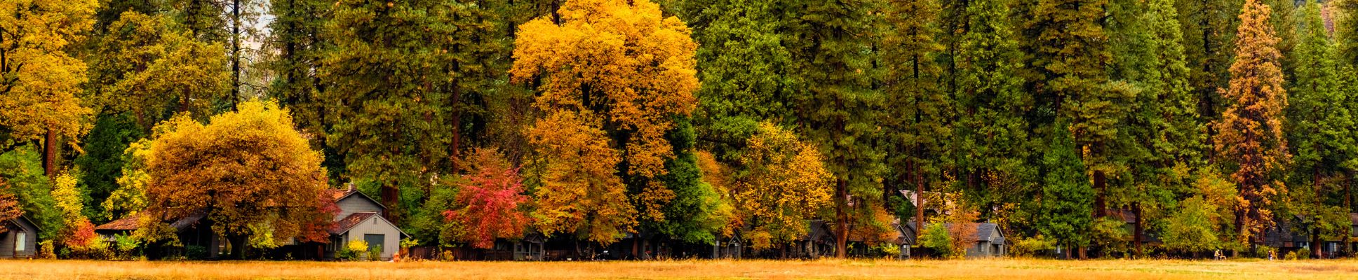 Glamping spots in California