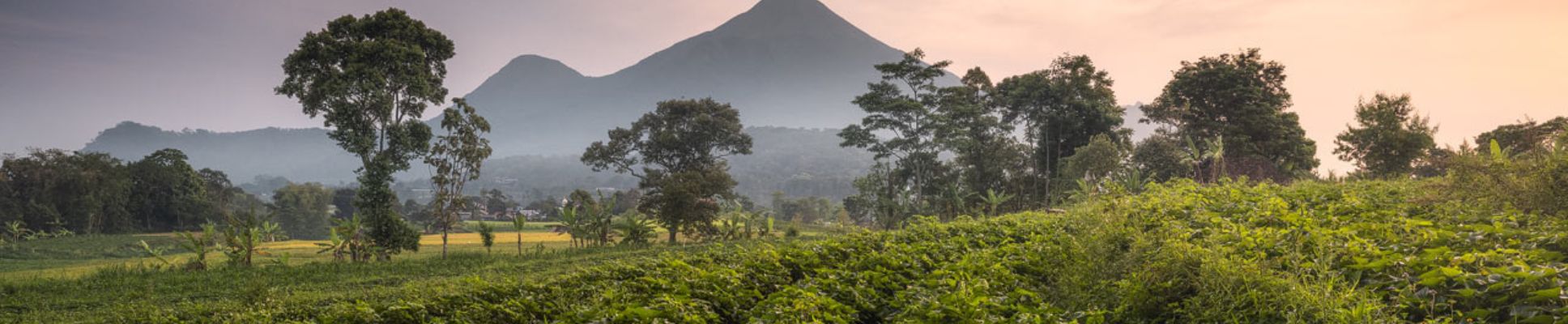 Glamping spots in Central Java