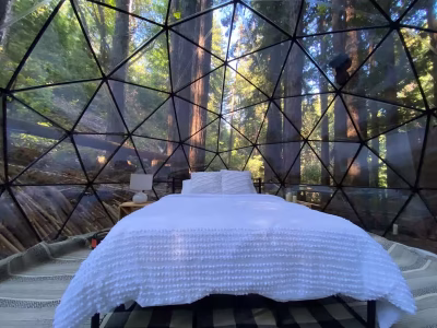 Creek side redwood dome
