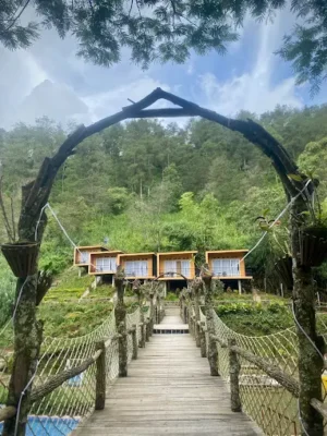 Damalung Glamping Tranquil Hillside Pine Forest Escape