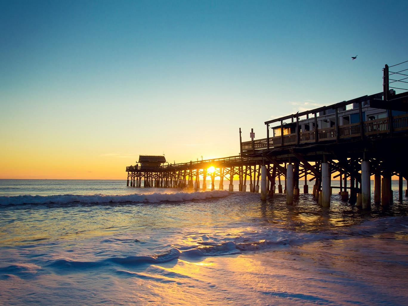 Glamping spots in Florida