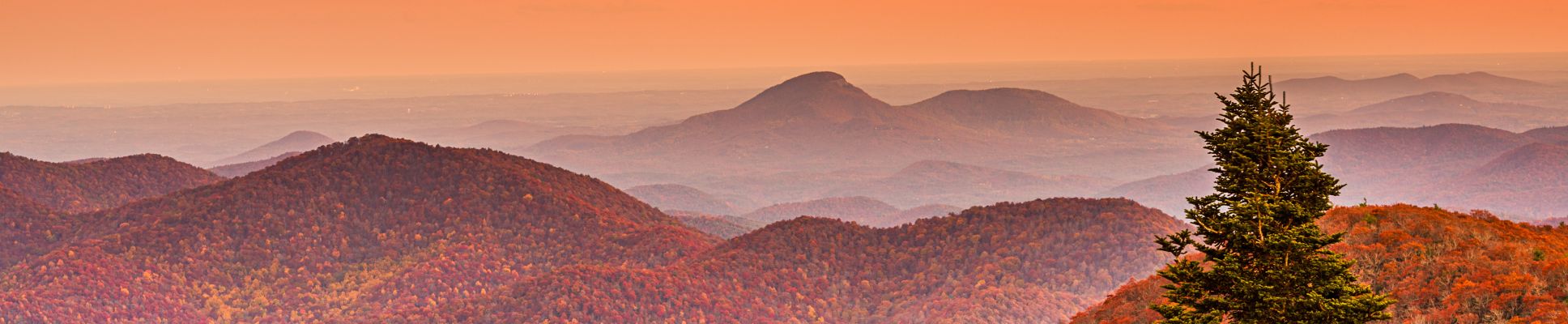 Glamping spots in Georgia