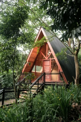 Glamping Tahura