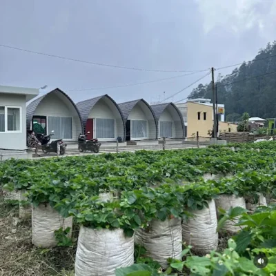 Glamping Tawangmangu Sekipan Assalam Syariah