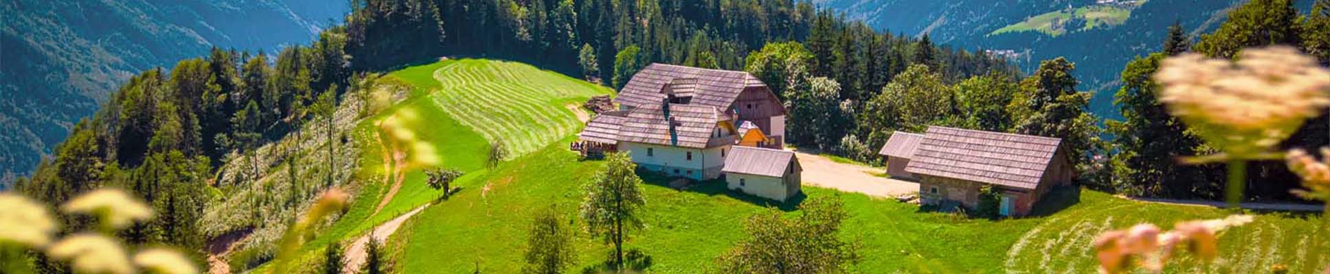 Glamping spots in Gorenjska