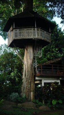 Green Tree House Villa Ubud