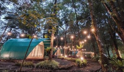 Hejo Forest Ciwidey Bandung