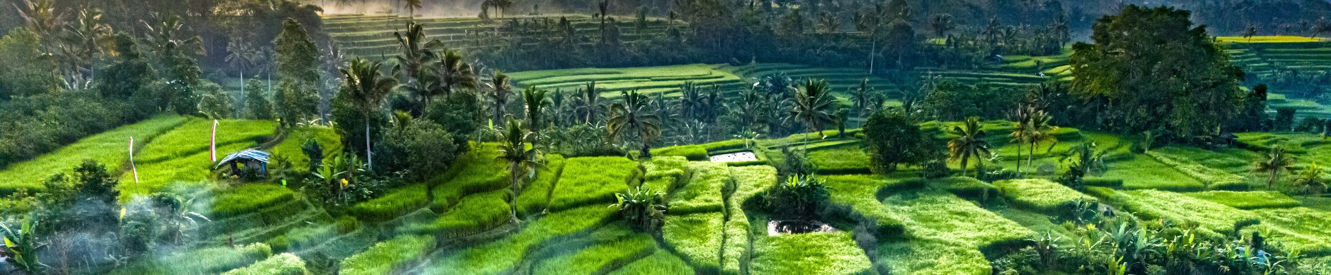 Glamping spots in Indonesia