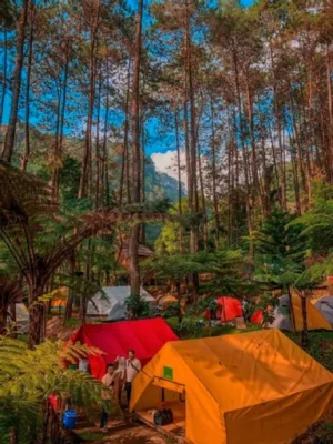 Kampung Rimba Camp – Glamping & Camping Ground