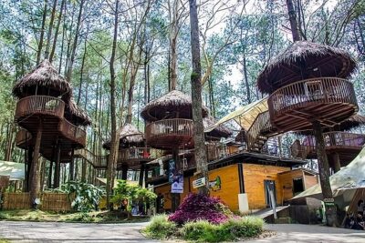 Kopeng Treetop Adventure Park Family Treehouse Retreat