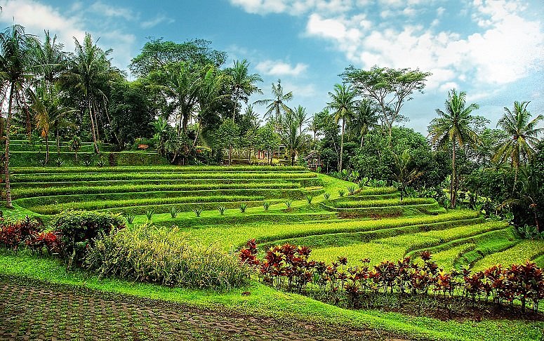 Glamping spots in Magelang