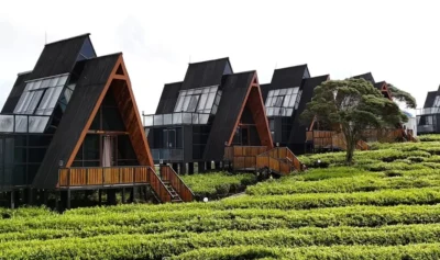 Nimo Tea Resort Pangalengan