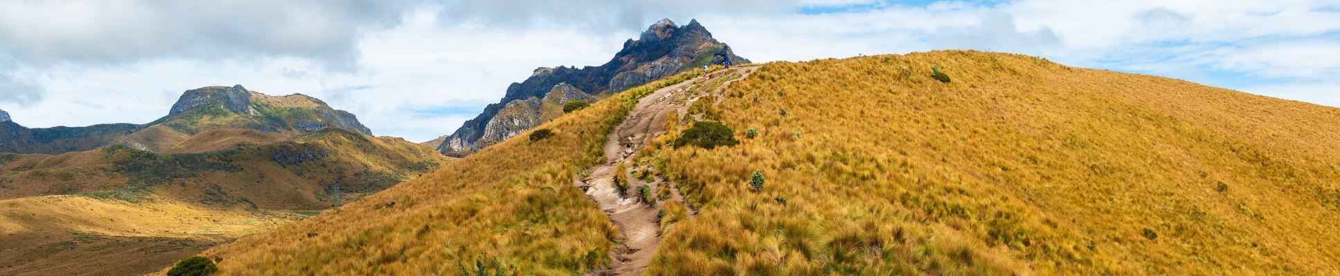Glamping spots in Pichincha