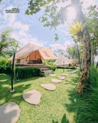 PukuPods – Tent & Cabin