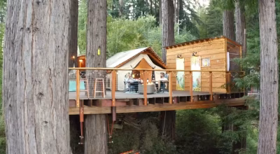 Redwood Ridge Tree Fort