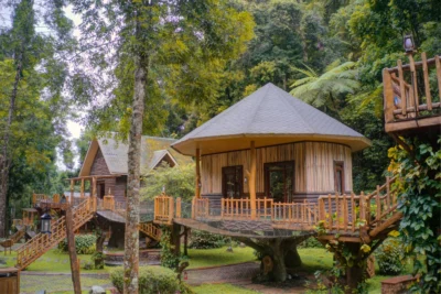 Safari Resort near Taman Safari Indonesia