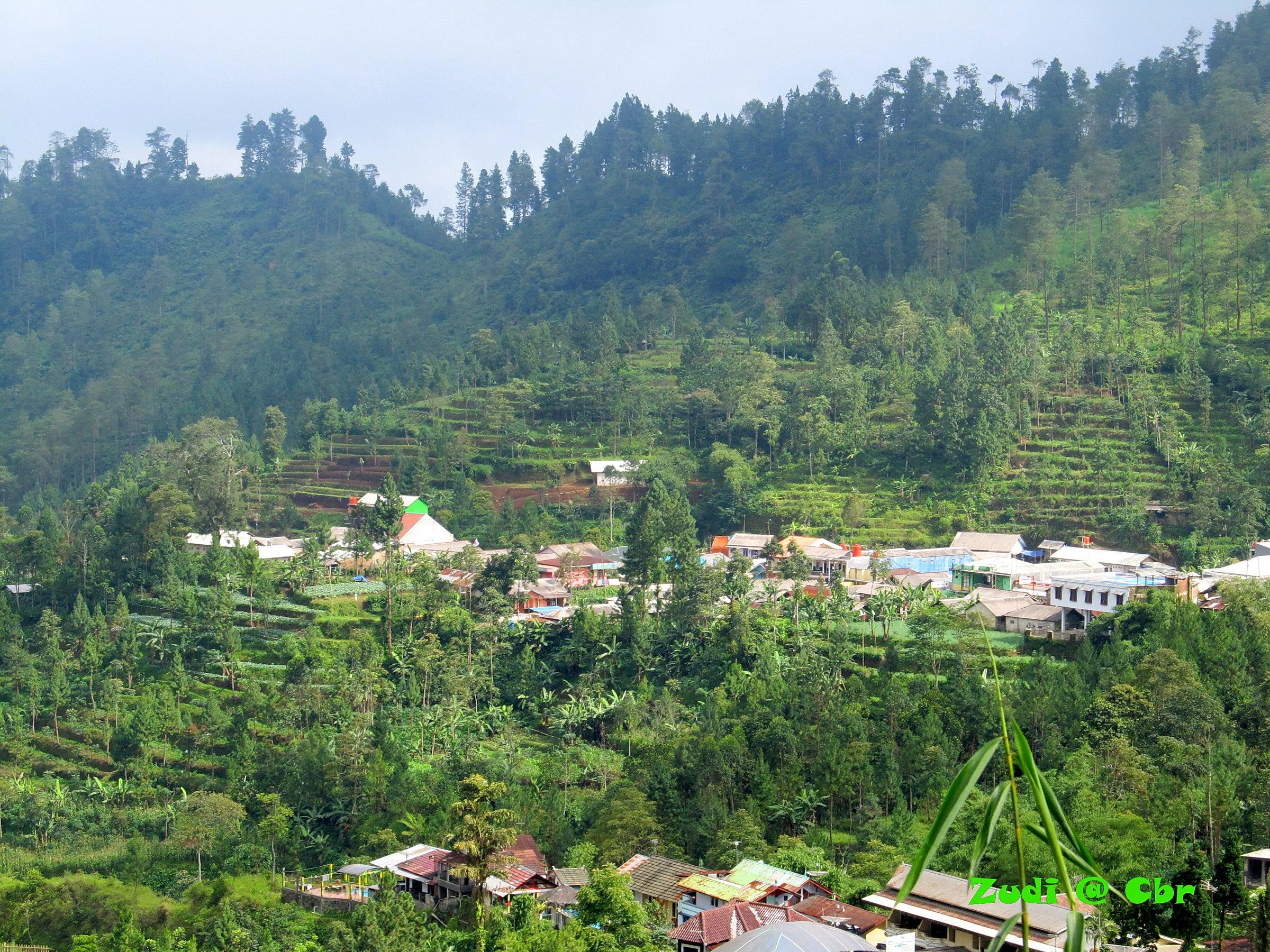 Glamping spots in Tegal