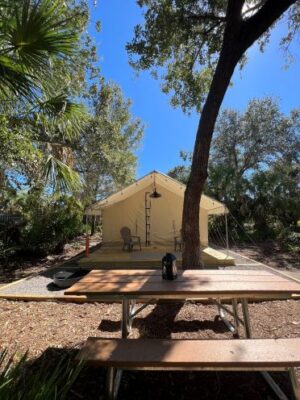 Timberline Glamping Sarasota