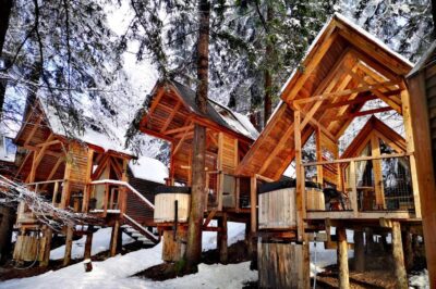 Tree House with Wooden Tub